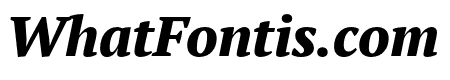 PT Serif Pro Extra Bold Italic