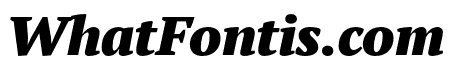 PT Serif Pro Narrow Black Italic