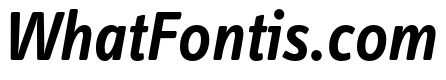 Info Display Pro Semibold Italic