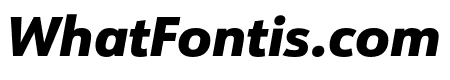 URW Form Heavy Italic