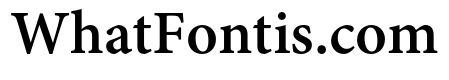 Adobe Tamil Bold
