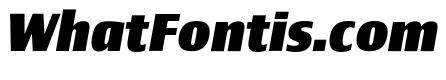 Newbery Sans Pro Xp ExtraBold It