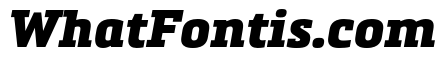 Metronic Slab Pro Black italic