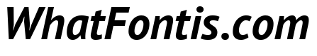PT Sans Bold Italic