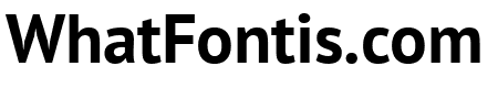 PT Sans Bold