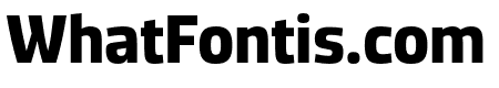 DicSans Bold