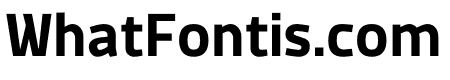 MachoModular Bold