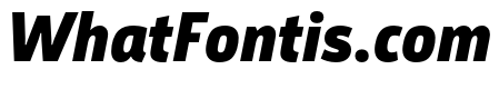 Argumentum Black Italic