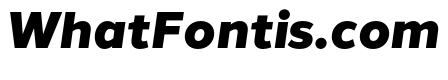 Halcom Black Italic