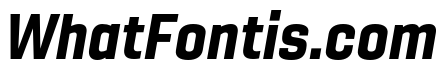 Gineso Norm Black Italic