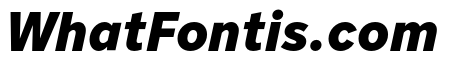 Nort Black Italic