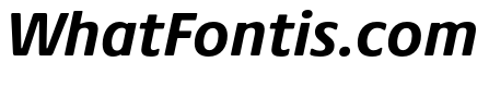 Praxis Next Bold Italic
