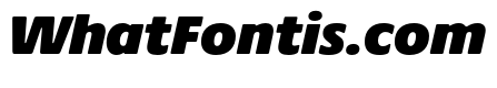 Praxis Next ExtraBlack Italic