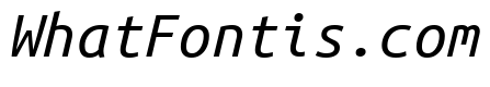 Ubuntu Mono Italic