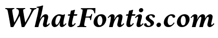 Aria Text G1 Bold Italic