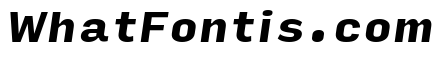 Input Sans Compressed Black Italic