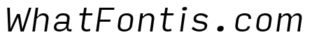 Input Sans Compressed Light Italic