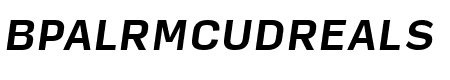 Input Sans Condensed Bold Italic