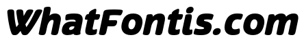 Terfens Black Italic
