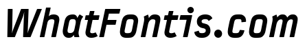 Typestar Pro Black Italic