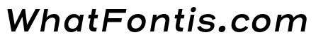 Henderson Sans Basic SemiBold Italic