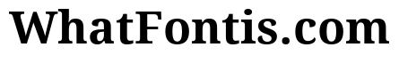 Droid Serif Bold