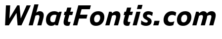 Zeitung Pro Bold Italic