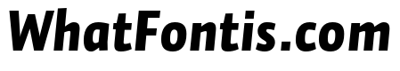 Auto Pro Black Italic 1