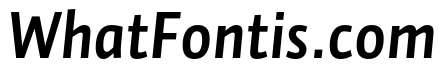 Auto Pro Bold Italic 2