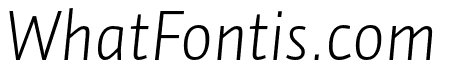 Auto Pro Light Italic 1