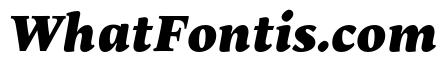 Maecenas Black Italic