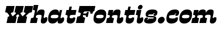 Presley Slab Black Italic