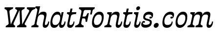 Presley Slab Medium Italic