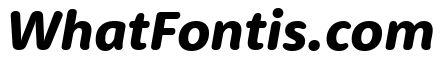 RooneySans Heavy Italic