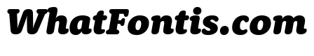 Rooney Black Italic