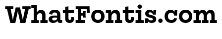 Mortise Bold