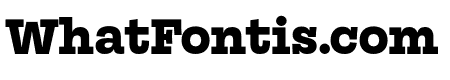 Mortise X Bold