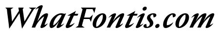 Nocturne Serif Medium Italic