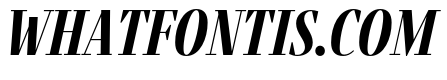 Fino Bold Italic