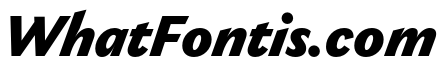 Gaultier Black Italic