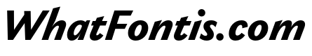 Gaultier Bold Italic
