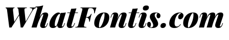 Playfair Display Black Italic