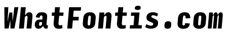 Input Mono Compressed Black Italic