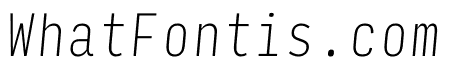 Input Mono Compressed Thin Italic