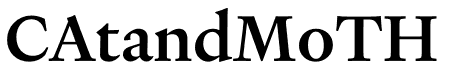 Heldane Text Medium