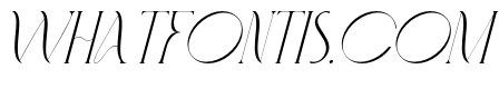 Fashionable-Italic