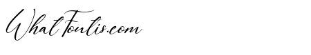 Queen Signature Italic