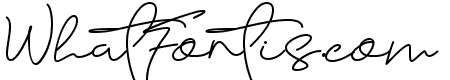 Sarttink Signature