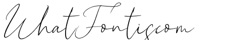New York Signature Italic