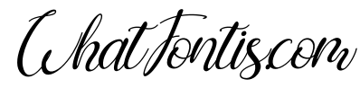 Shintia Italic Italic
